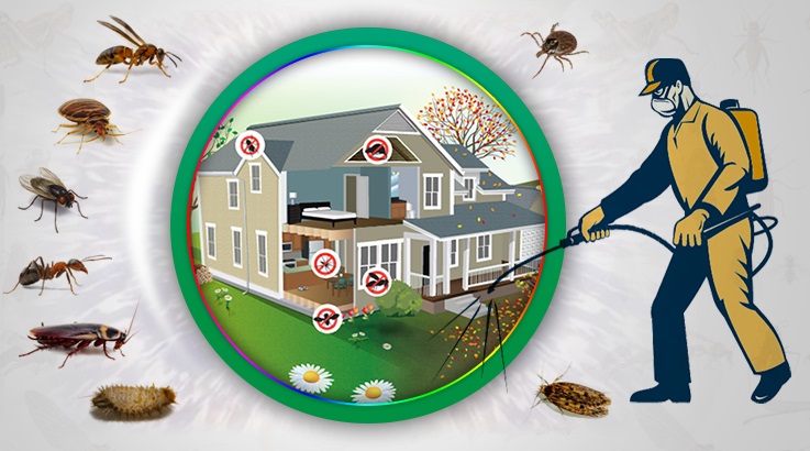 Han Böcek İlaçlama