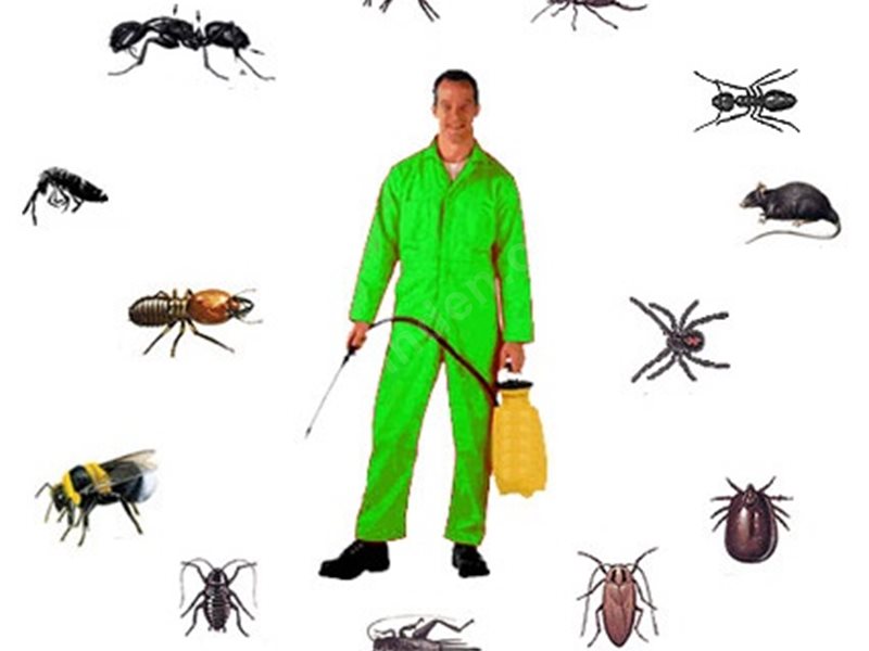 Han Böcek İlaçlama